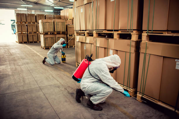 Best Ant Control Services  in Llington, MI