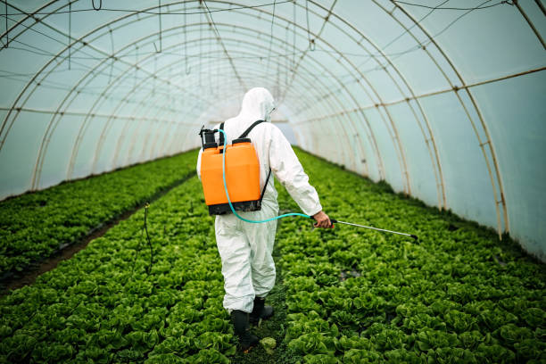 Best Mosquito Control Services  in Llington, MI