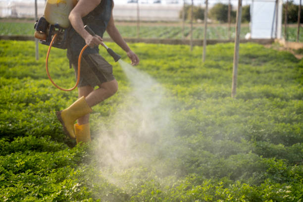 Best Exterminator Services  in Llington, MI