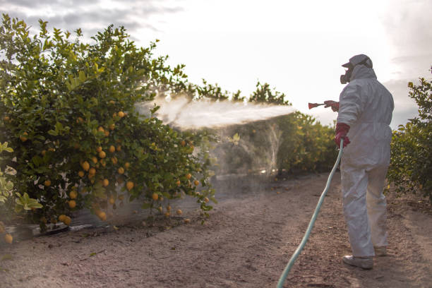 Best Residential Pest Control  in Llington, MI