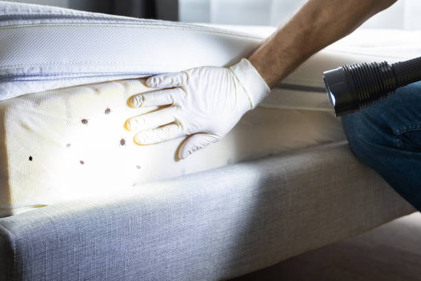 Best Residential Pest Control  in Llington, MI