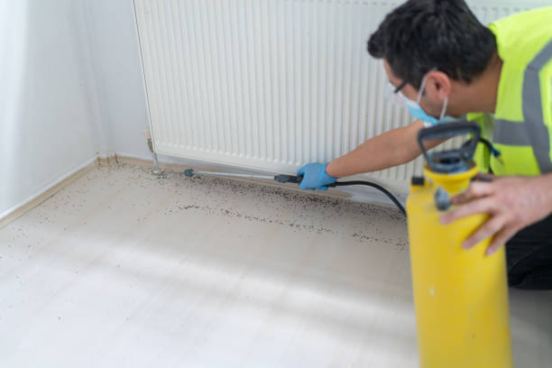Best Bed Bug Extermination  in Llington, MI